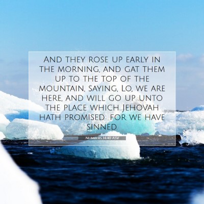 Picture 07 - Numbers 14:40 ASV - And they rose up early in the morning, and gat - Bible Verse Picture