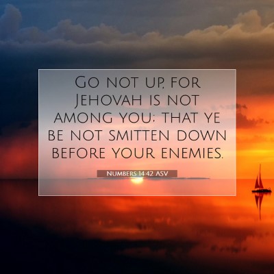 Picture 07 - Numbers 14:42 ASV - Go not up, for Jehovah is not among you; that ye - Bible Verse Picture