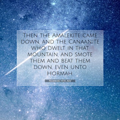 Picture 07 - Numbers 14:45 ASV - Then the Amalekite came down, and the Canaanite - Bible Verse Picture