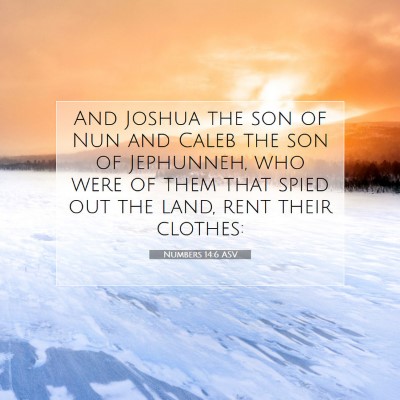 Picture 07 - Numbers 14:6 ASV - And Joshua the son of Nun and Caleb the son of - Bible Verse Picture