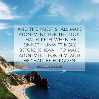 Picture 07 - Numbers 15:28 ASV - And the priest shall make atonement for the soul - Bible Verse Picture