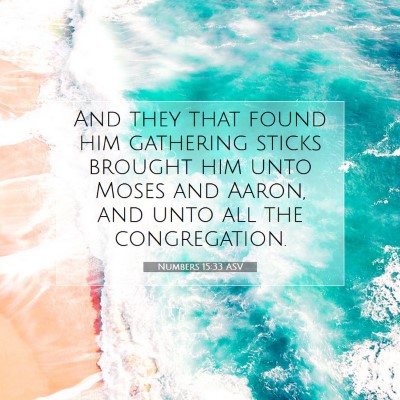 Picture 07 - Numbers 15:33 ASV - And they that found him gathering sticks brought - Bible Verse Picture