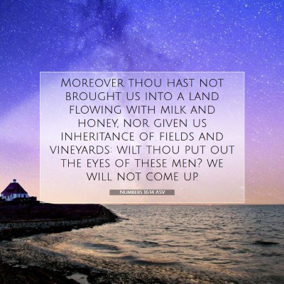 Picture 07 - Numbers 16:14 ASV - Moreover thou hast not brought us into a land - Bible Verse Picture