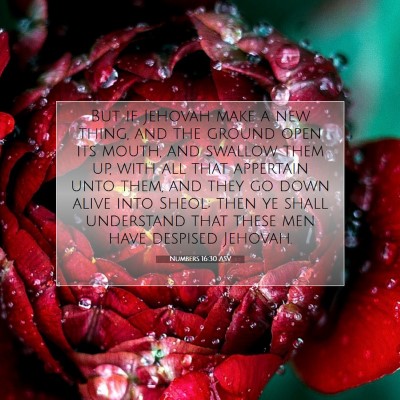 Picture 07 - Numbers 16:30 ASV - But if Jehovah make a new thing, and the ground - Bible Verse Picture