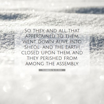 Picture 07 - Numbers 16:33 ASV - So they, and all that appertained to them, went - Bible Verse Picture
