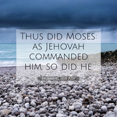 Picture 07 - Numbers 17:11 ASV - Thus did Moses: as Jehovah commanded him, so did - Bible Verse Picture
