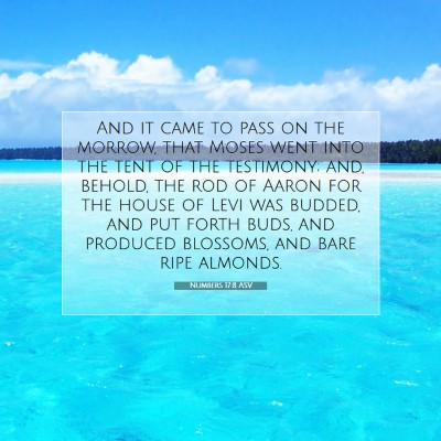 Picture 07 - Numbers 17:8 ASV - And it came to pass on the morrow, that Moses - Bible Verse Picture