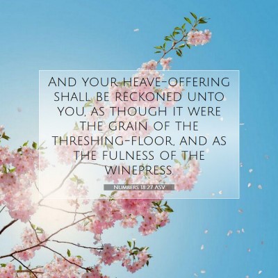 Picture 07 - Numbers 18:27 ASV - And your heave-offering shall be reckoned unto - Bible Verse Picture