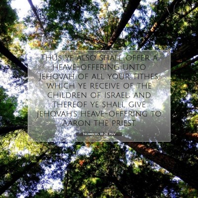 Picture 07 - Numbers 18:28 ASV - Thus ye also shall offer a heave-offering unto - Bible Verse Picture