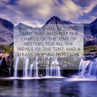Picture 07 - Numbers 18:4 ASV - And they shall be joined unto thee, and keep the - Bible Verse Picture