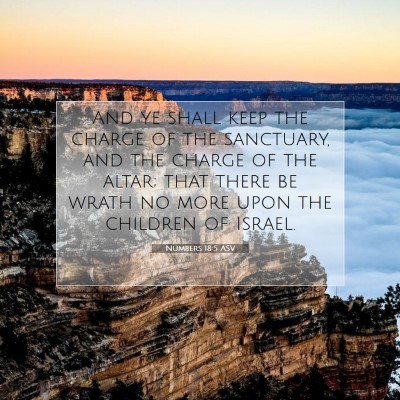 Picture 07 - Numbers 18:5 ASV - And ye shall keep the charge of the sanctuary, - Bible Verse Picture