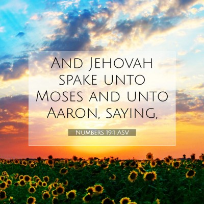 Picture 07 - Numbers 19:1 ASV - And Jehovah spake unto Moses and unto Aaron, - Bible Verse Picture