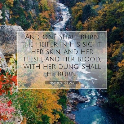 Picture 07 - Numbers 19:5 ASV - And one shall burn the heifer in his sight; her - Bible Verse Picture