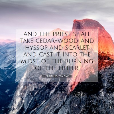Picture 07 - Numbers 19:6 ASV - and the priest shall take cedar-wood, and hyssop, - Bible Verse Picture