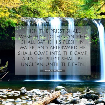 Picture 07 - Numbers 19:7 ASV - Then the priest shall wash his clothes, and he - Bible Verse Picture
