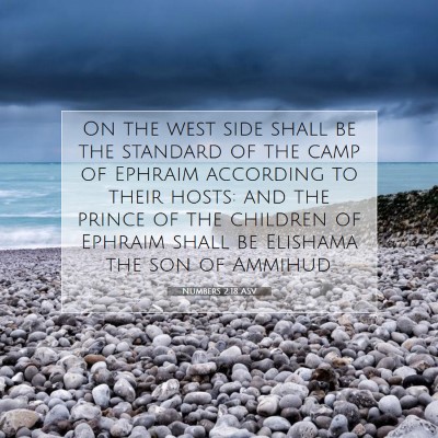 Picture 07 - Numbers 2:18 ASV - On the west side shall be the standard of the - Bible Verse Picture