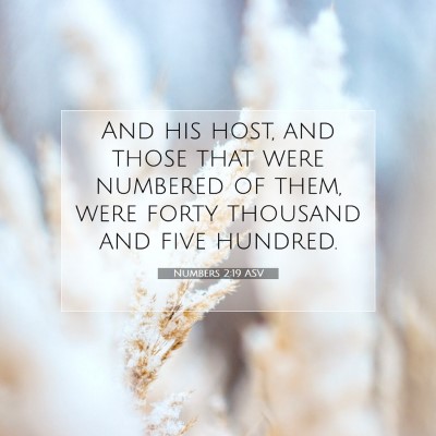 Picture 07 - Numbers 2:19 ASV - And his host, and those that were numbered of - Bible Verse Picture