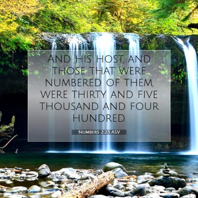 Picture 07 - Numbers 2:23 ASV - And his host, and those that were numbered of - Bible Verse Picture