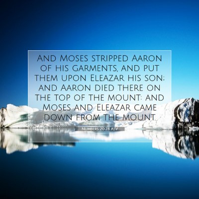 Picture 07 - Numbers 20:28 ASV - And Moses stripped Aaron of his garments, and put - Bible Verse Picture