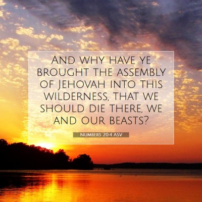 Picture 07 - Numbers 20:4 ASV - And why have ye brought the assembly of Jehovah - Bible Verse Picture
