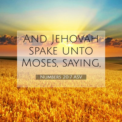 Picture 07 - Numbers 20:7 ASV - And Jehovah spake unto Moses, - Bible Verse Picture
