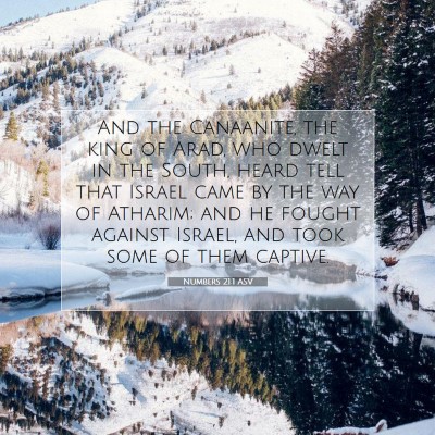 Picture 07 - Numbers 21:1 ASV - And the Canaanite, the king of Arad, who dwelt in - Bible Verse Picture