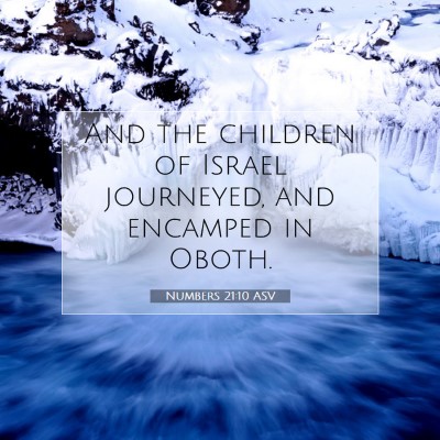 Picture 07 - Numbers 21:10 ASV - And the children of Israel journeyed, and - Bible Verse Picture