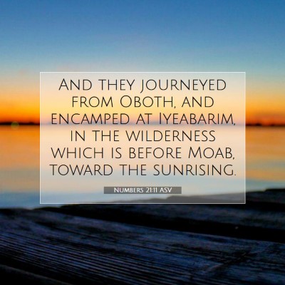Picture 07 - Numbers 21:11 ASV - And they journeyed from Oboth, and encamped at - Bible Verse Picture