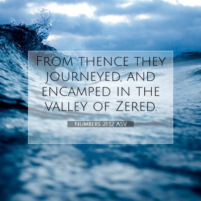 Picture 07 - Numbers 21:12 ASV - From thence they journeyed, and encamped in the - Bible Verse Picture