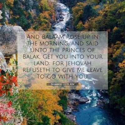 Picture 07 - Numbers 22:13 ASV - And Balaam rose up in the morning, and said unto - Bible Verse Picture