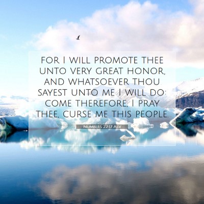 Picture 07 - Numbers 22:17 ASV - for I will promote thee unto very great honor, - Bible Verse Picture
