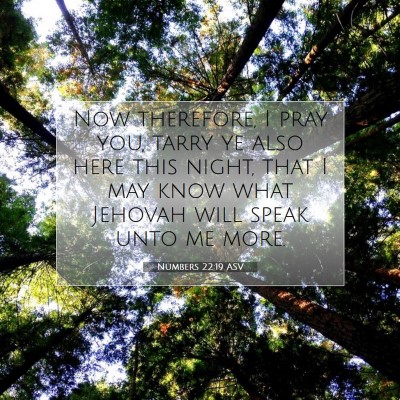Picture 07 - Numbers 22:19 ASV - Now therefore, I pray you, tarry ye also here - Bible Verse Picture