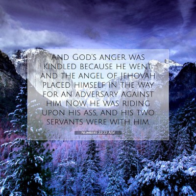 Picture 07 - Numbers 22:22 ASV - And God's anger was kindled because he went; and - Bible Verse Picture