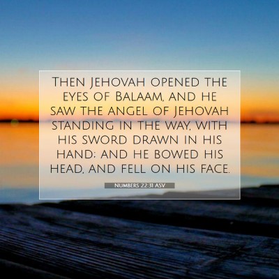 Picture 07 - Numbers 22:31 ASV - Then Jehovah opened the eyes of Balaam, and he - Bible Verse Picture
