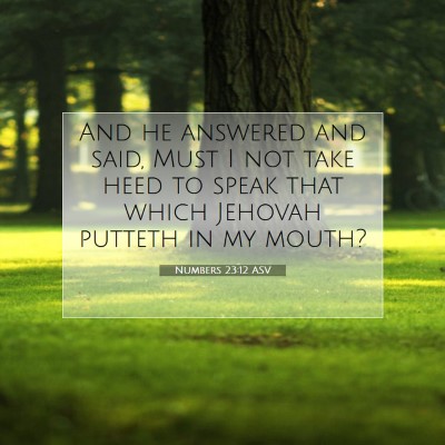 Picture 07 - Numbers 23:12 ASV - And he answered and said, Must I not take heed to - Bible Verse Picture