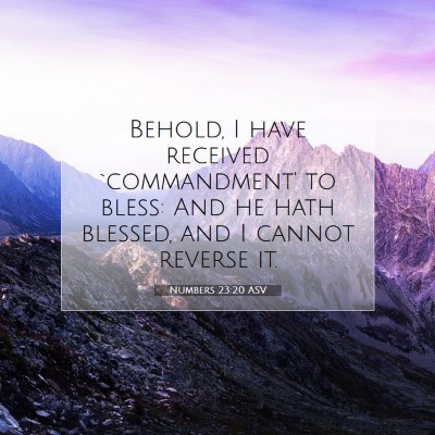 Picture 07 - Numbers 23:20 ASV - Behold, I have received `commandment' to bless: - Bible Verse Picture