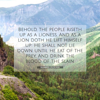 Picture 07 - Numbers 23:24 ASV - Behold, the people riseth up as a lioness, And as - Bible Verse Picture