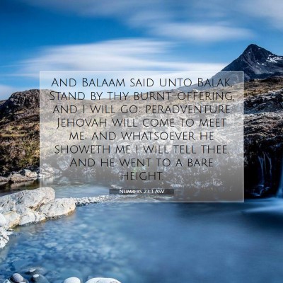 Picture 07 - Numbers 23:3 ASV - And Balaam said unto Balak, Stand by thy - Bible Verse Picture
