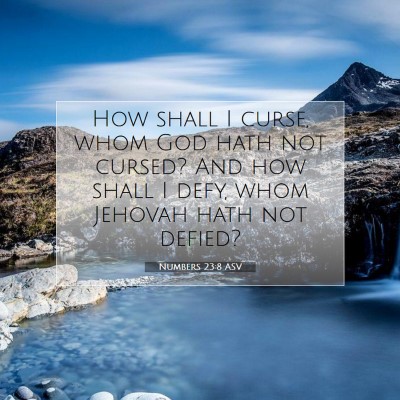 Picture 07 - Numbers 23:8 ASV - How shall I curse, whom God hath not cursed? And - Bible Verse Picture