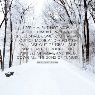 Picture 07 - Numbers 24:17 ASV - I see him, but not now; I behold him, but not - Bible Verse Picture