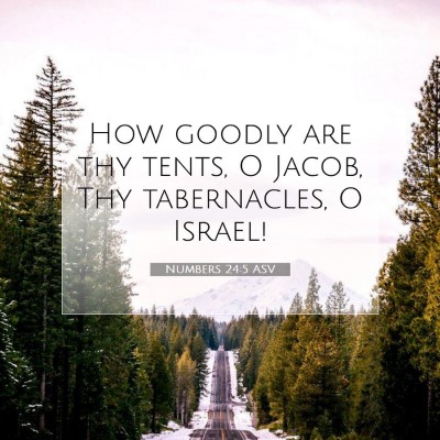 Picture 07 - Numbers 24:5 ASV - How goodly are thy tents, O Jacob, Thy - Bible Verse Picture