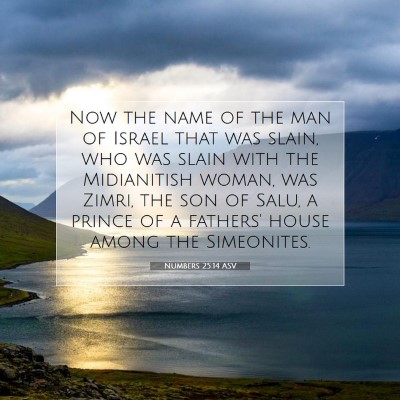 Picture 07 - Numbers 25:14 ASV - Now the name of the man of Israel that was slain, - Bible Verse Picture