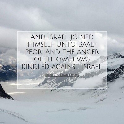 Picture 07 - Numbers 25:3 ASV - And Israel joined himself unto Baal-peor: and the - Bible Verse Picture