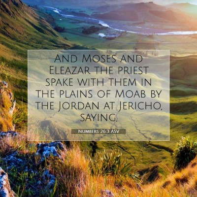 Picture 07 - Numbers 26:3 ASV - And Moses and Eleazar the priest spake with them - Bible Verse Picture