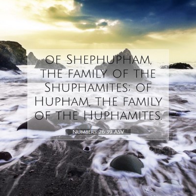 Picture 07 - Numbers 26:39 ASV - of Shephupham, the family of the Shuphamites; of - Bible Verse Picture