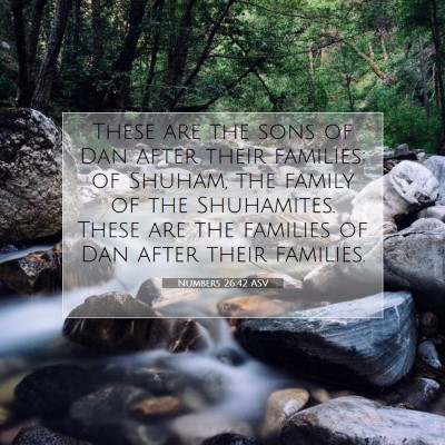 Picture 07 - Numbers 26:42 ASV - These are the sons of Dan after their families: - Bible Verse Picture