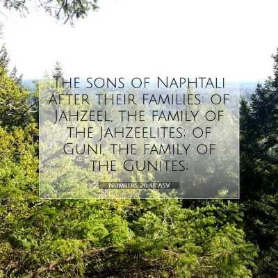Picture 07 - Numbers 26:48 ASV - The sons of Naphtali after their families: of - Bible Verse Picture