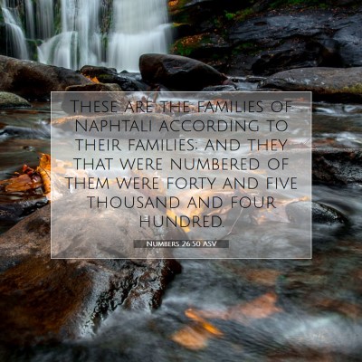 Picture 07 - Numbers 26:50 ASV - These are the families of Naphtali according to - Bible Verse Picture