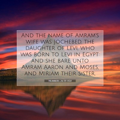 Picture 07 - Numbers 26:59 ASV - And the name of Amram's wife was Jochebed, the - Bible Verse Picture