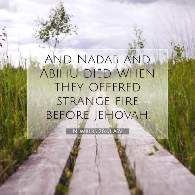 Picture 07 - Numbers 26:61 ASV - And Nadab and Abihu died, when they offered - Bible Verse Picture
